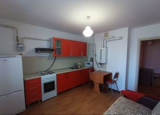 Сдача в аренду однокомнатной квартиры, 43 м2, Краснодарский край, Батарейная улица, 381к5