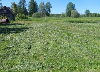 Продается участок, 15 сот., деревня Михалево