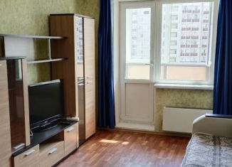 1-комнатная квартира в аренду, 42 м2, Санкт-Петербург, Красносельский район, Ленинский проспект, 57к1