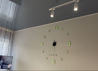 Сдается в аренду комната, 45 м2, село Денисовка, Винницкая улица, 6А