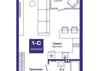 Продажа квартиры студии, 34.6 м2, Новосибирская область