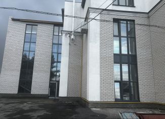 Продам помещение свободного назначения, 62 м2, Барнаул, Центральный район, Партизанская улица, 192