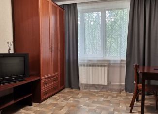 Аренда однокомнатной квартиры, 29 м2, Новосибирская область, Микрорайон, 64