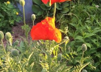 Продам участок, 6 сот., СНТГ совхоза Ковровский