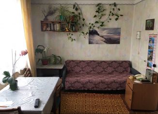 Квартира в аренду студия, 24 м2, Новосибирск, улица Фрунзе, 2Б, метро Площадь Ленина