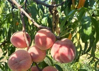 Продаю участок, 6 сот., село Михайловка, Строительная улица