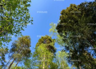 Продается участок, 12 сот., СНТ Усадьба, СНТ Усадьба, 42