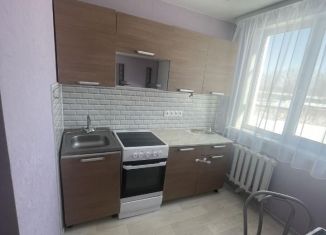 Аренда 1-комнатной квартиры, 29 м2, Новосибирская область, улица Лейтенанта Амосова, 58
