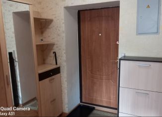 Сдается 1-комнатная квартира, 37 м2, Воронежская область, переулок Здоровья, 90А