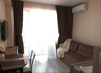 Квартира в аренду студия, 24 м2, посёлок городского типа Дагомыс, Старошоссейная улица, 5к6