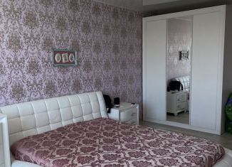 Сдается 1-комнатная квартира, 40 м2, Нижний Новгород, Союзный проспект, 1А