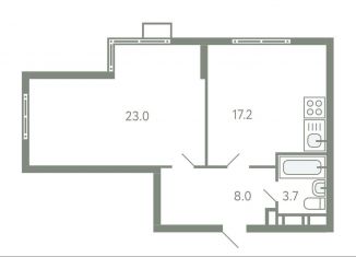2-комнатная квартира на продажу, 51.9 м2, село Молоково, жилой комплекс Ново-Молоково, 13
