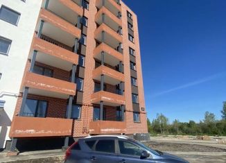 Продажа двухкомнатной квартиры, 54.1 м2, деревня Дерябиха, деревня Дерябиха, 78