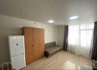 Квартира в аренду студия, 30 м2, Свердловская область, Мостовая улица, 39