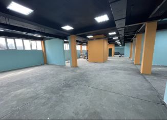 Продается помещение свободного назначения, 500 м2, Махачкала, улица Ибрагимовой, 2, Кировский район