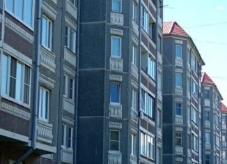 Сдаю в аренду 1-ком. квартиру, 34 м2, Пушкин, Красносельское шоссе, 48/60