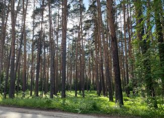 Продаю земельный участок, 21 сот., село Кашино, Южный переулок, 10