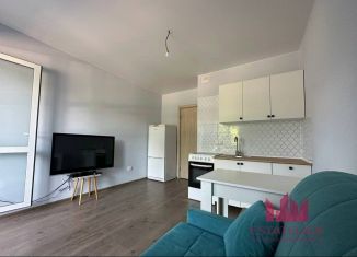 Продажа квартиры студии, 20 м2, рабочий посёлок Лопатино, Сухановская улица, 26, ЖК Государев Дом