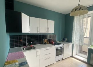 Сдается 2-ком. квартира, 55.8 м2, деревня Новое Девяткино, Арсенальная улица, 7, ЖК Девяткино