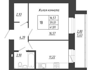 Продается 1-комнатная квартира, 41.8 м2, село Осиново, жилой комплекс Радужный-2, с8