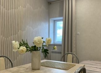 Аренда квартиры студии, 30 м2, Татарстан, Производственная улица, 9