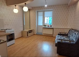 Сдаю в аренду квартиру студию, 24 м2, деревня Малые Колпаны, микрорайон Речной, 3