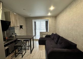 Квартира на продажу студия, 27 м2, рабочий поселок Маркова, микрорайон Берёзовый, 242