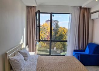 Сдам в аренду 1-ком. квартиру, 25 м2, Сочи, Курортный проспект, 96Г, микрорайон Приморье