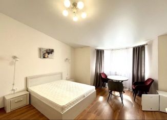 Сдается в аренду однокомнатная квартира, 25 м2, деревня Вахромеево, Фруктовая улица, 9