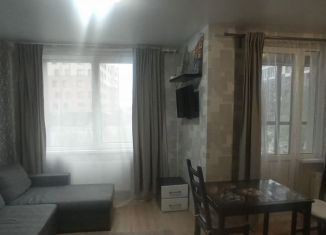 Сдача в аренду квартиры студии, 24 м2, Санкт-Петербург, улица Вадима Шефнера, 14к1, метро Приморская