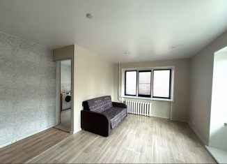 1-комнатная квартира на продажу, 30.5 м2, Сегежа, Владимирская улица, 8