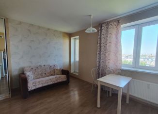 Продажа квартиры студии, 24.6 м2, посёлок Парголово, Толубеевский проезд, 18к1