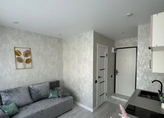 Продажа квартиры студии, 14 м2, Самарская область, проспект Карла Маркса, 402