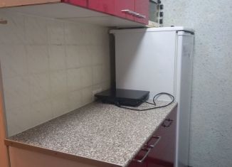 Сдается квартира студия, 23 м2, Новосибирск, Дачная улица, 40/2, метро Заельцовская