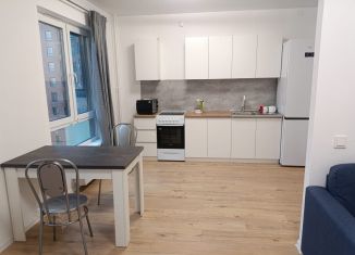 Сдача в аренду 1-ком. квартиры, 33 м2, деревня Новое Девяткино, Главная улица, 8