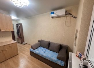 Продажа квартиры студии, 25 м2, Краснодар, улица Западный Обход, 38/1к3, ЖК Движение