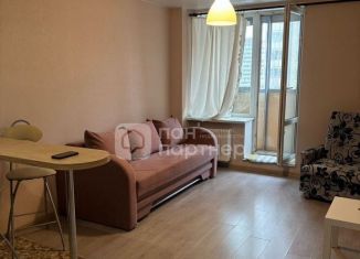 Продам квартиру студию, 28 м2, Мурино, Охтинская аллея, 10к1, ЖК Девятый вал