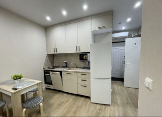 1-ком. квартира в аренду, 34 м2, Сочи, переулок Трунова, 6, микрорайон Завокзальный