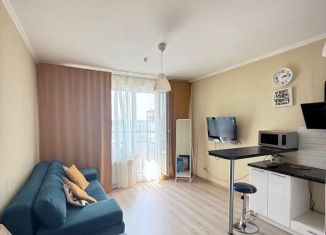 Продается квартира студия, 26.2 м2, Сертолово, ЖК Новое Сертолово, Тихвинская улица, 8к3