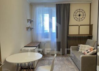 Квартира на продажу студия, 21 м2, Кудрово, Столичная улица, 11к3, ЖК Вернисаж