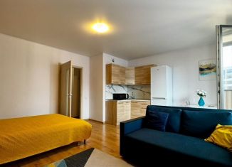 Продам квартиру студию, 40.4 м2, Санкт-Петербург, бульвар Александра Грина, 3, муниципальный округ Морской