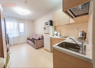 Продается квартира студия, 25.3 м2, Карелия, Боровая улица, 44