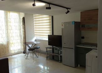 2-ком. квартира в аренду, 60 м2, Сочи, Вишнёвая улица, 18/2, микрорайон Заречный