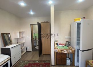 Продается квартира студия, 22 м2, деревня Хохряки, Тепличная улица, 34