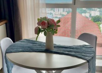 Сдача в аренду квартиры студии, 22 м2, Сочи, Целинная улица, 28/13