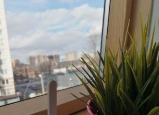 Сдается квартира студия, 30 м2, Мурино, улица Шоссе в Лаврики