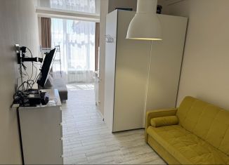 Продается квартира студия, 25.3 м2, Геленджик, Туристическая улица, 3Д, ЖК Дом у моря