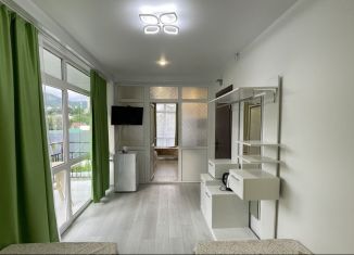 Сдача в аренду комнаты, 42.5 м2, Сочи, Спортивная улица, 19/2