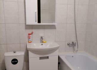 Сдается квартира студия, 26 м2, Мурино, улица Шувалова, 22к2, ЖК Витамин