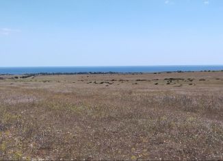 Участок на продажу, 1005 сот., село Окунёвка